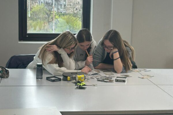 Logica-mente Insieme: un laboratorio per MENTONAUTI!