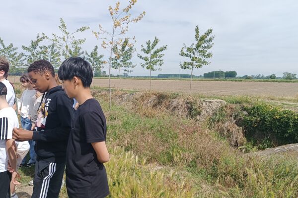 Alla scoperta del riso: le classi seconde in visita alla Cascina Alberona
